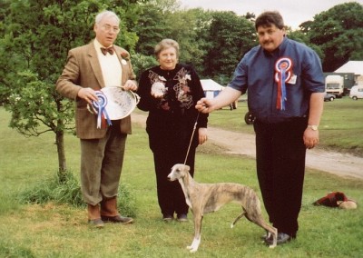 JANELYN-SILVETEC-SIXPENCE-WHIPPET-MR-M-SANDERS-RES-BIS-2000