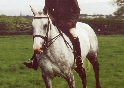 LIGHT-HORSE-MAY-2000